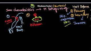 Virulence factors of bacteria [upl. by Rundgren154]