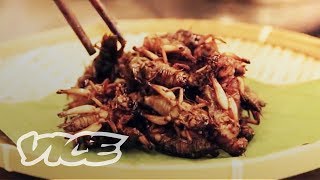 The Big Bug Eating Industry of China Part 1 [upl. by Aehr]