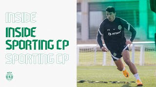 INSIDE SPORTING CP  Olhos postos no CD Tondela [upl. by Anaiv889]