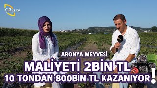 Süper Meyve Aronya 10 Tondan 800 bin kazanıyor  Toprak Bacı [upl. by Steffen850]