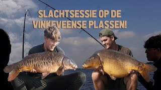 SLACHTSESSIE OP DE VINKEVEENSE PLASSEN [upl. by Ailugram]