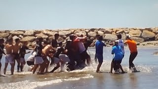 Saintes Maries de la MerUn taureau sauvé des eauxVache plagefete votive20160619 [upl. by Aerdnac]