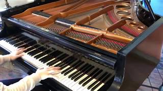 Spirited Away Joe Hisaishi  Reprise  Waltz of Chihiro  Piano [upl. by Fillender]