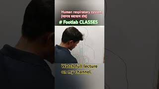 Human respiratory system lungs footlab classes Rohit [upl. by Erreit]