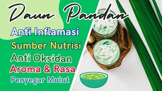 Kehebatan Rahasia Daun Pandan yang Harus Anda Ketahui [upl. by Anitsirhcairam]