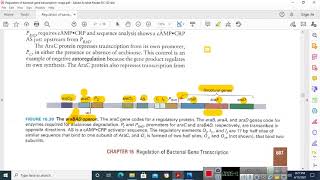 ARABINOSE OPERON in Malayalam [upl. by Ayres]