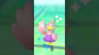 Pokémon GO Aquatic Paradise Event Shiny Ducklett Debut pokemongo pogo pokemon [upl. by Esidarap]