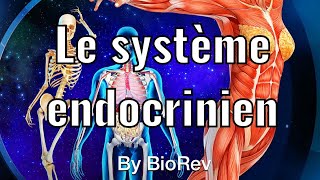 Physiologie animale le système endocrinien glande hormone hypothalamus et hypophyse [upl. by Delaney337]