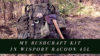 My Bushcraft Kit  In Wisport Raccoon 45 Backpack [upl. by Hannon844]