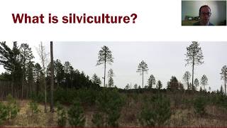 Intro to Silviculture part 1 [upl. by Orfield]