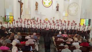 Welsh choir Côr Meibion Pontarddulais Male Choir Ar Hyd Y Nos All through the night HD stereo [upl. by Otrebcire]