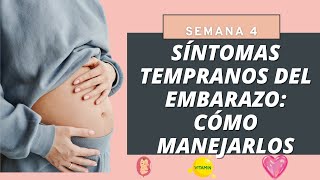 SEMANA 4 DE EMBARAZO TODO LO QUE NECESITAS SABER PARA TU PRIMERA CITA 🤰🏻👼🏻 [upl. by Sset]