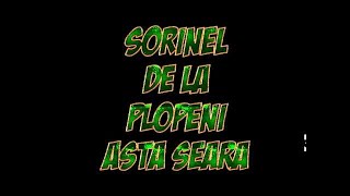 SORINEL DE LA PLOPENI ASTA SEARA [upl. by Aridnere]