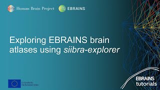 Exploring EBRAINS brain atlases using siibraexplorer [upl. by Siram41]