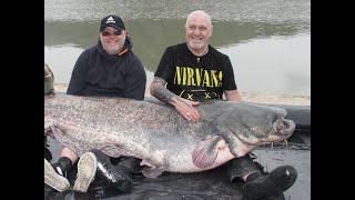 Catfish Record of Mequinenza [upl. by Brittaney]