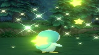 Pokémon Brilliant Diamond  Shiny Piplup Soft Reset Full Video 15th🌟 [upl. by Sullivan319]