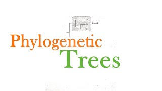 Phylogenetic Tree Questions  CSIR NET JRF [upl. by Ferretti]