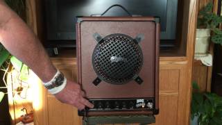 Pignose 30 Watt Music Instrument Amplifier Review 200 [upl. by Atinar]