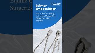 Reimer Emasculator gervetusa veterinarytechnician surgicalinstruments vet ReimerEmasculator [upl. by Isnan]