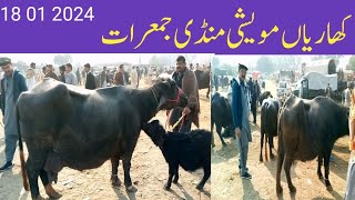 kharian moweshi Mandi 18 01 2024janwarmandi pkshazar Riaz official [upl. by Naujahs]