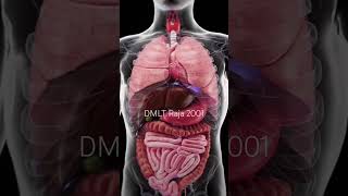 Human organs मनाव अंग The machinery of life जीवन की मशीनरी healthcare anatomy human organs [upl. by Ner]