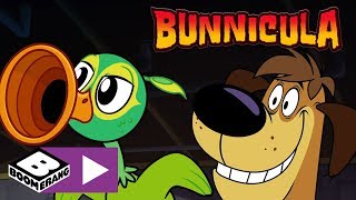 Bunnicula  The Annoying Musical Bird Monster  Boomerang UK 🇬🇧 [upl. by Ehcropal816]