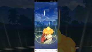 Crocalor vs Serperior from 083124 entertainment niantic pokemongo [upl. by Behnken]