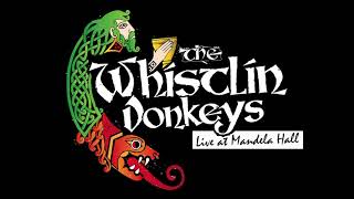 The Whistlin Donkeys  Travelin Soldier  LIVE at Mandela Hall [upl. by Ecnesse827]