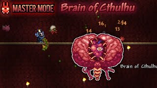 Terraria Master mode  No Damage Brain of Cthulhu Summoner [upl. by Ylus]