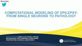 Computational Modelling of Human Epilepsy from Single Neurons to Pathology [upl. by Ibrahim119]