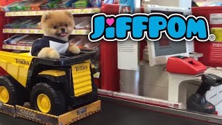 Jiffpom at Target Checkout [upl. by Cazzie]