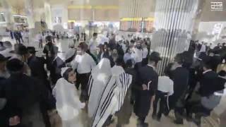 Supporters of Fugitive Rabbi Eliezer Berland Dance at Airport [upl. by Given457]