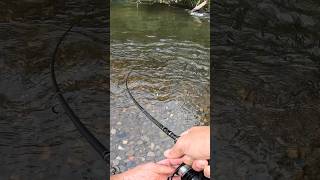 Steelhead Smokes my Reel Under a Log fishing oregon steelhead [upl. by Diraf376]