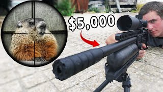 Pest Control with 5000 Airgun Scope Cam [upl. by Reidar]