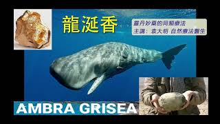 《靈丹妙藥的同類療法》 EP176  龍涎香 Ambra Grisea [upl. by Janus]