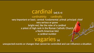 cardinal amp vagaries [upl. by Ardle686]