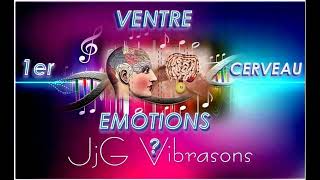 VENTRE amp DIGESTION  TON VENTRE GÈRE TES ÉMOTIONS  VERSION EMPIRIQUE  432 Hz  CERVEAU ENTERIQUE [upl. by Sonitnatsok298]