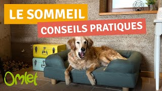 LE SOMMEIL DU CHIEN [upl. by Gehlbach]