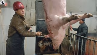 El tocino se hace esta manera  Fábrica procesamiento carne cerdo [upl. by Thorncombe]