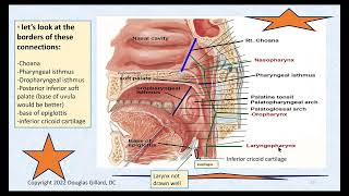 Pharyngeal and Esophageal Anatomy  Some Related PathologyGERD [upl. by Keverne]