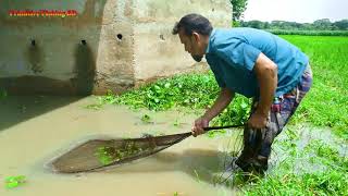 Cast Net Fishing। Traditional Net Catch Fishing in Village With Beautiful Natural [upl. by Aan]