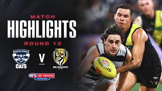 Geelong Cats v Richmond Highlights  Round 12 2024  AFL [upl. by Africah784]