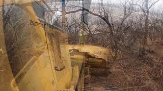 Dozer Clearing Land [upl. by Crotty]