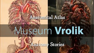 Museum Vrolik  Anatomy Stories 3 Anatomical Atlas [upl. by Krantz]