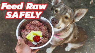 How to Feed Raw Dog Food SAFELY [upl. by Errecart]