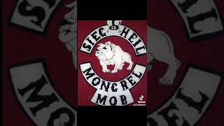 Mongrel Mob were the Original Norwegians [upl. by Acirretal960]