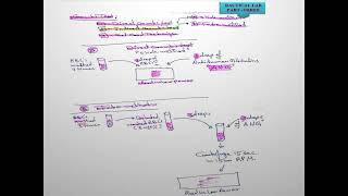 W8 L1BloodBank2024sKhwaiter Coombs Test [upl. by Illyes]