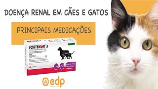 33  Tratamento de doença renal crônica em cães e gatos  MARÇO AMARELO [upl. by Tabby914]