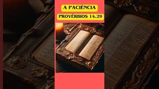 Provérbios 1429 [upl. by Edik]