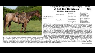 Pitzer Ranch Fall Sale 2024 Lot 405 U GOT ME DELIRIOUS [upl. by Rochus]